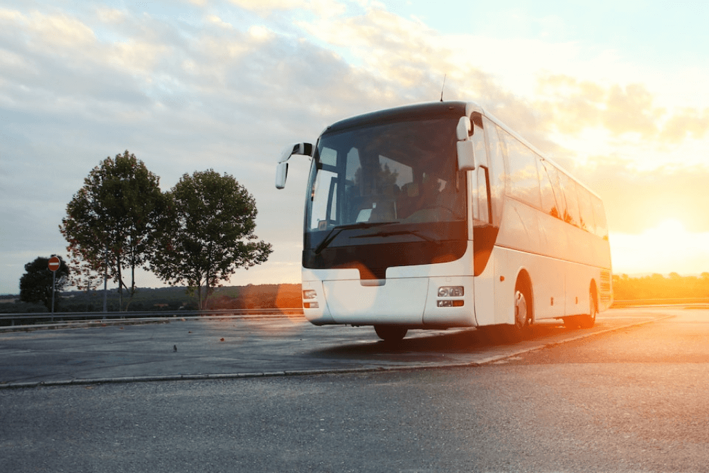 Перевозки по Украине: Виды транспорта и преимущества автобусов
